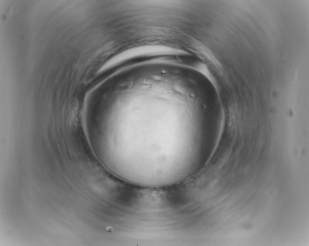 X0000088840073200706071430