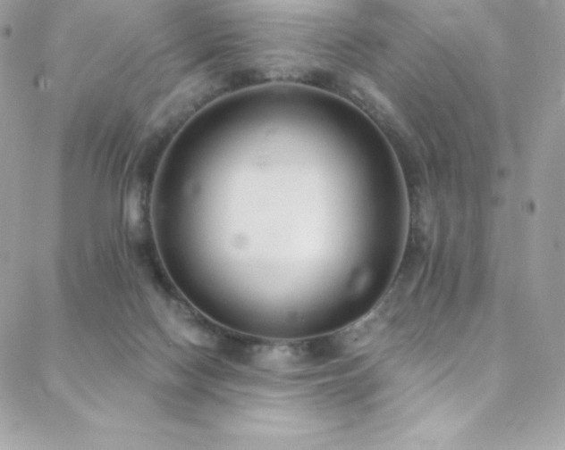 X0000088840074200706071430