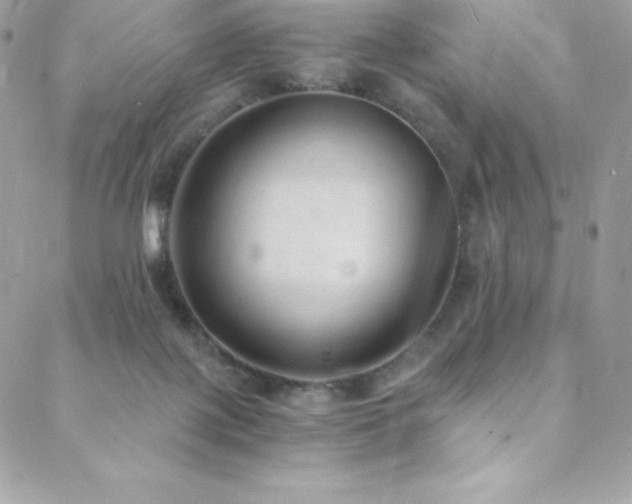 X0000088840075200706071430