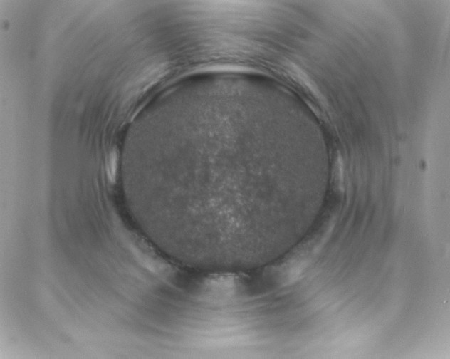 X0000088840076200706071430