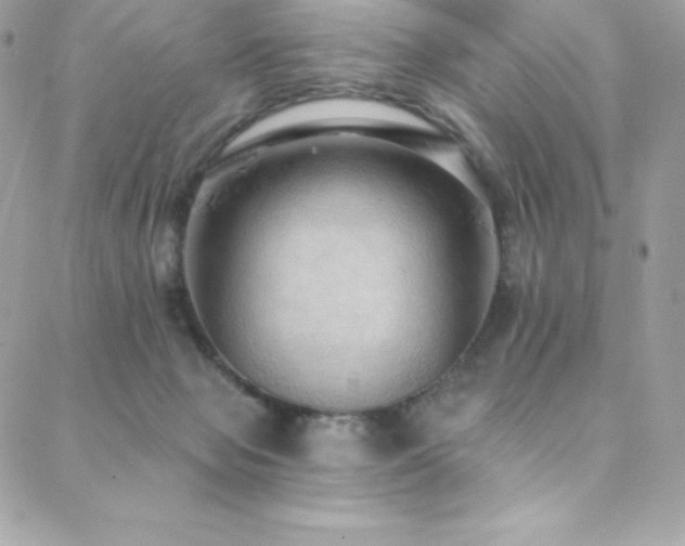 X0000088840077200706071430