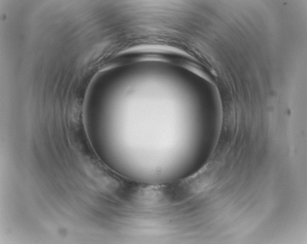 X0000088840078200706071430