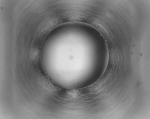 X0000088840079200706071430