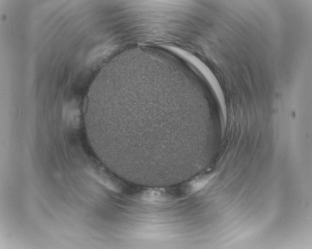 X0000088840080200706071430