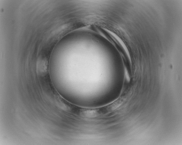 X0000088840081200706071430