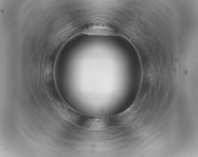 X0000088840082200706071430