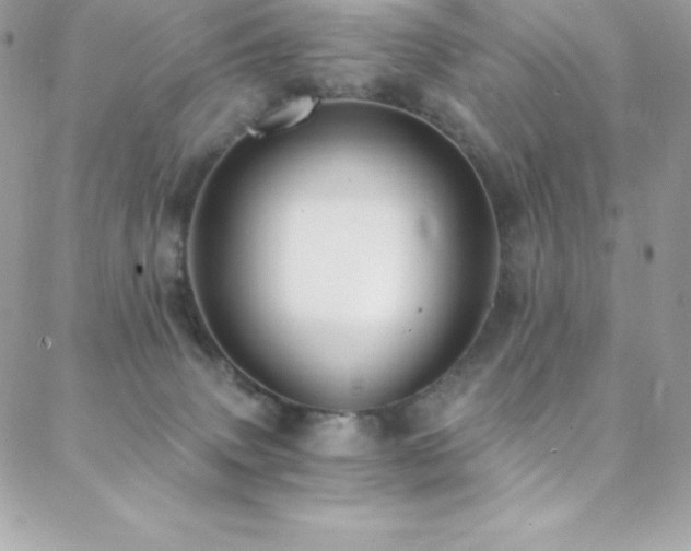 X0000088840083200706071430