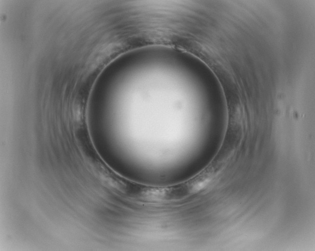 X0000088840084200706071430