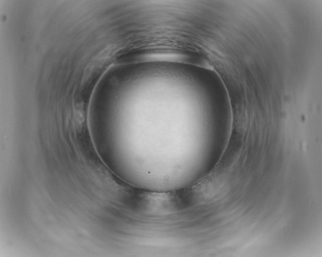 X0000088840085200706071431