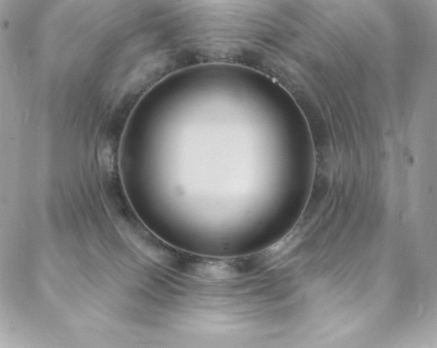 X0000088840086200706071431