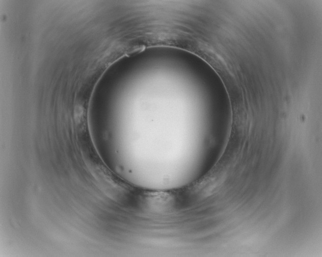 X0000088840087200706071431