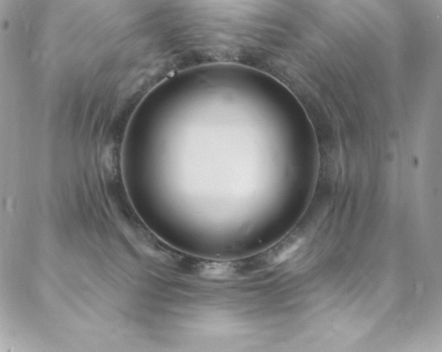 X0000088840088200706071431