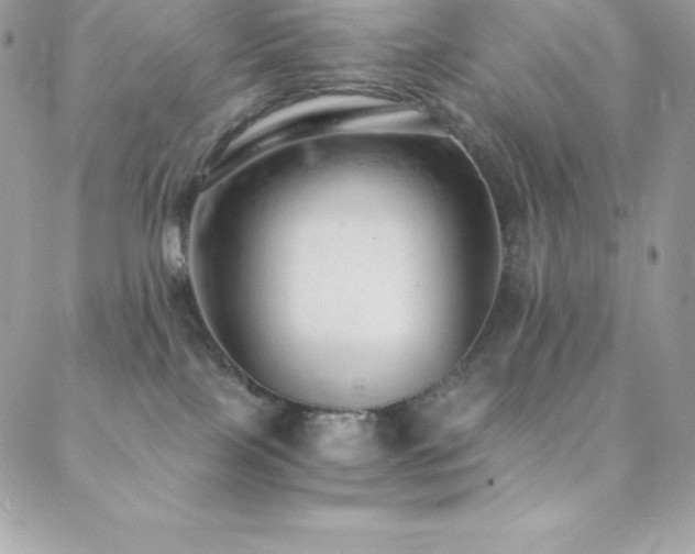 X0000088840089200706071431