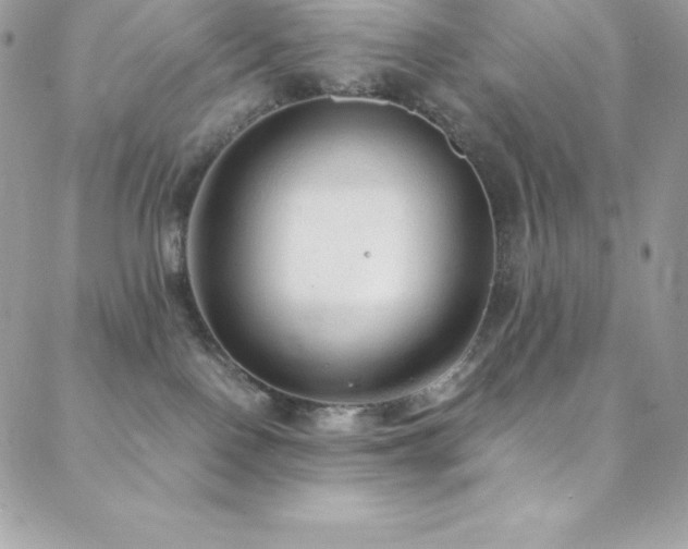 X0000088840090200706071431