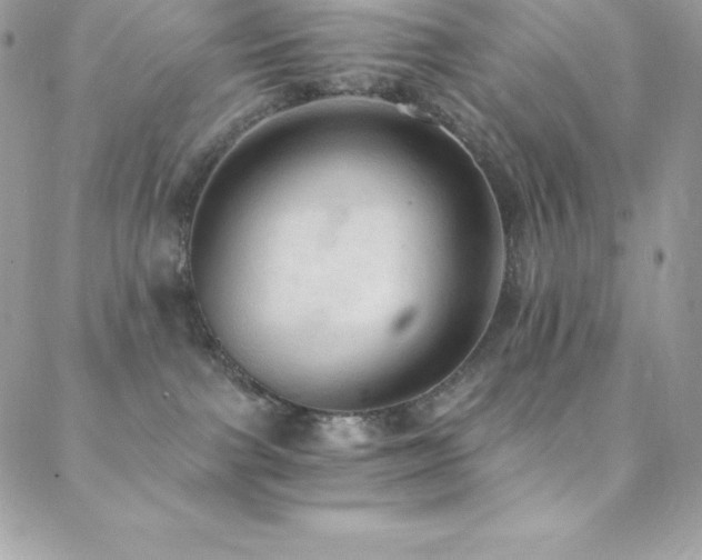 X0000088840091200706071431