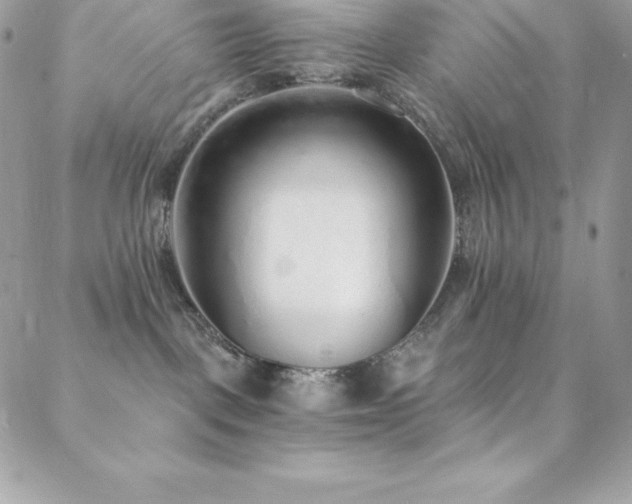 X0000088840093200706071431