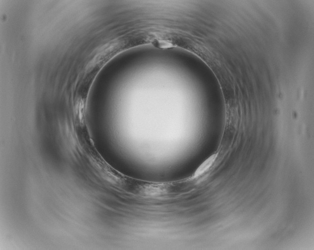 X0000088840094200706071431