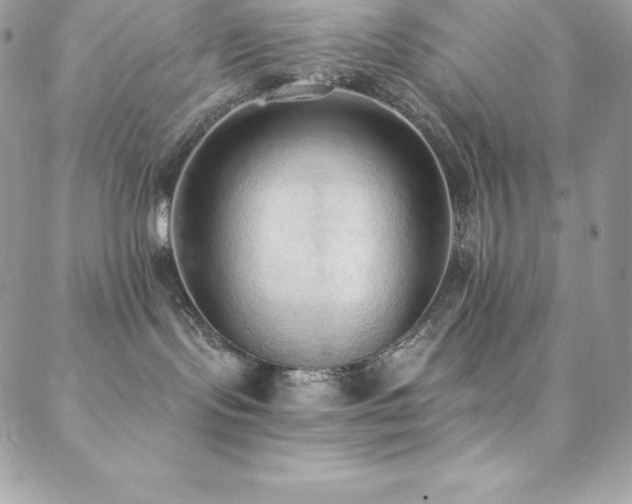 X0000088840095200706071431