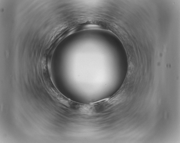 X0000088840096200706071431