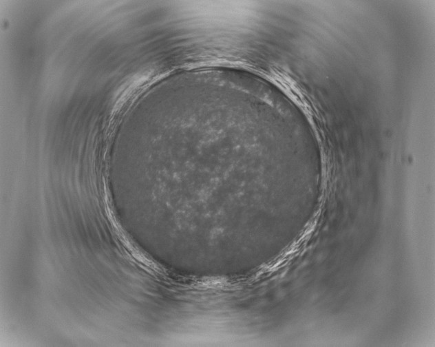 X0000088840097200706071430