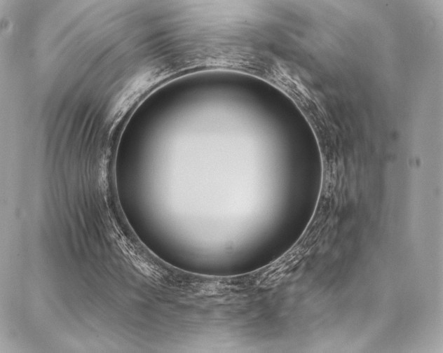 X0000088840098200706071430