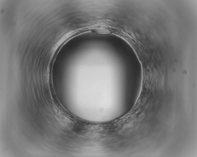 X0000088840100200706071430