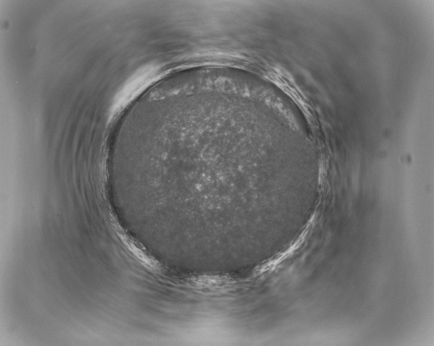 X0000088840101200706071430