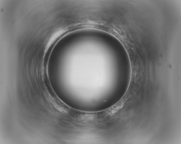 X0000088840102200706071430