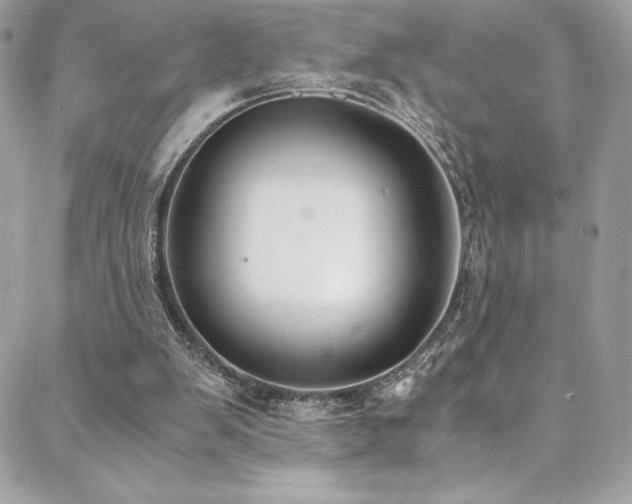 X0000088840103200706071430