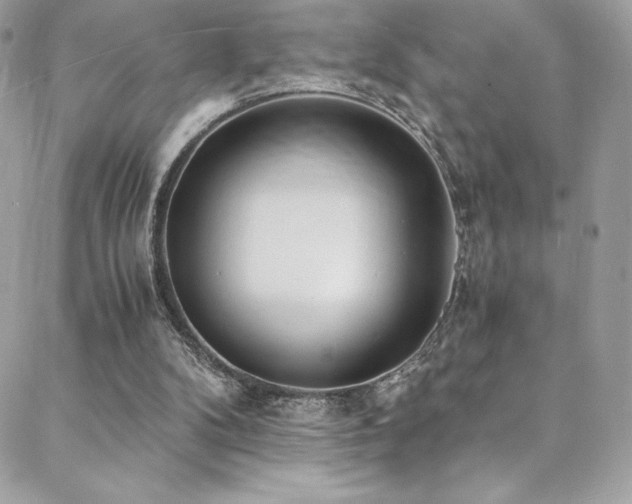 X0000088840104200706071430