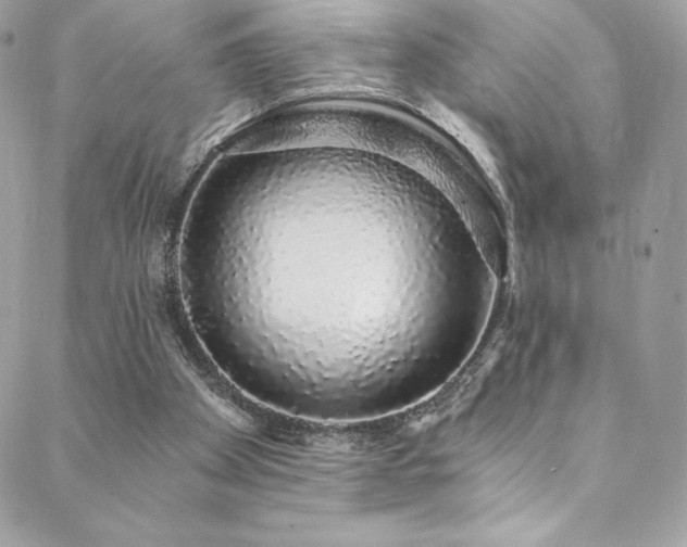 X0000088840105200706071430