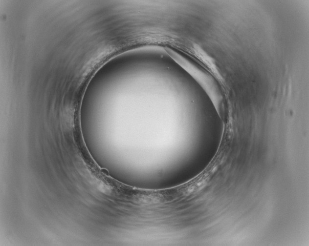 X0000088840106200706071430