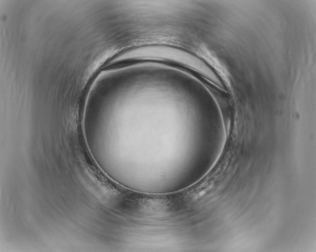 X0000088840107200706071430