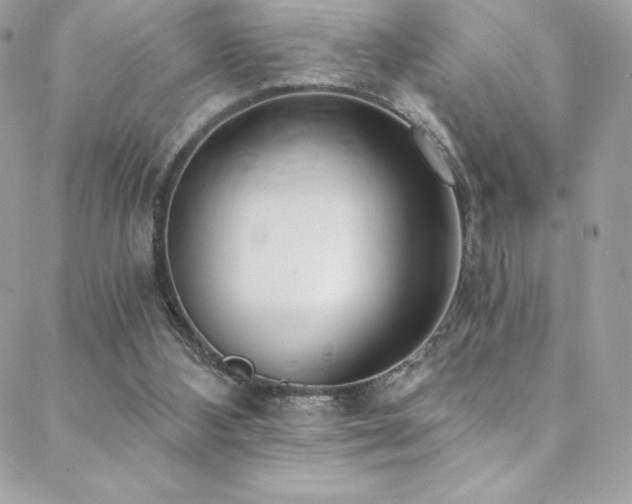 X0000088840108200706071430