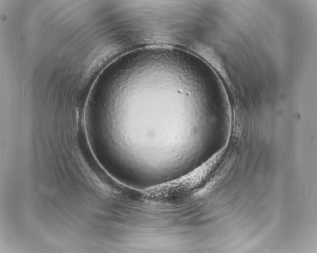 X0000088840109200706071430