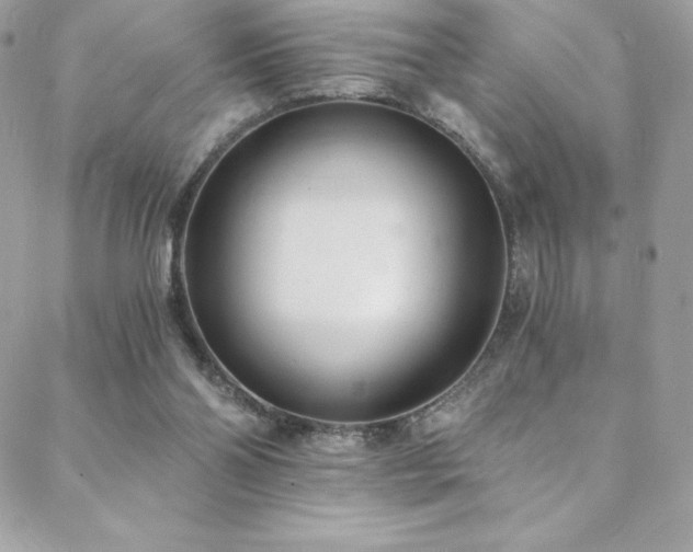 X0000088840110200706071430