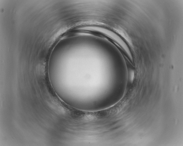 X0000088840111200706071430