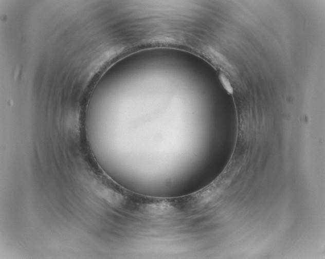 X0000088840112200706071430