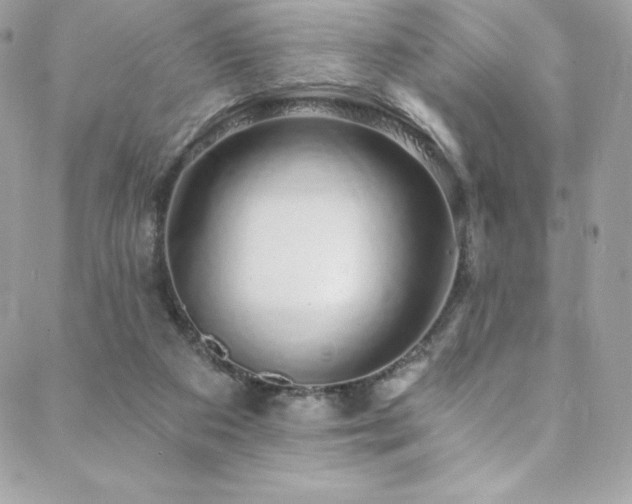 X0000088840113200706071430