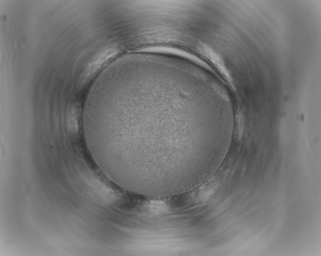 X0000088840114200706071430