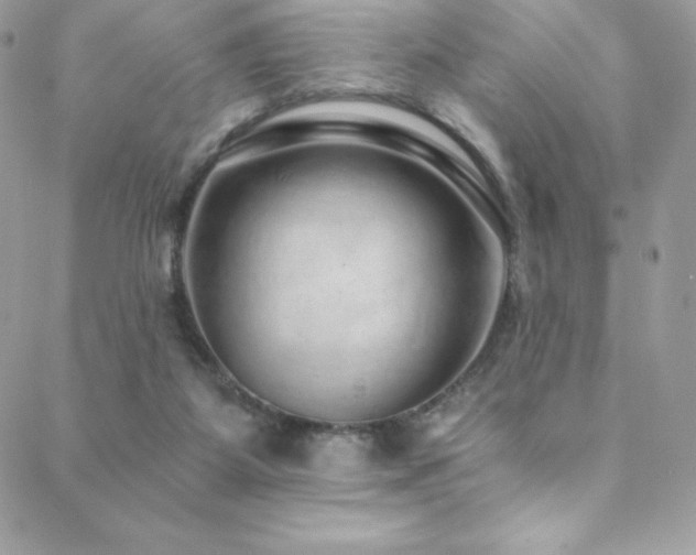 X0000088840115200706071430