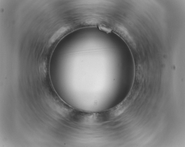 X0000088840116200706071430