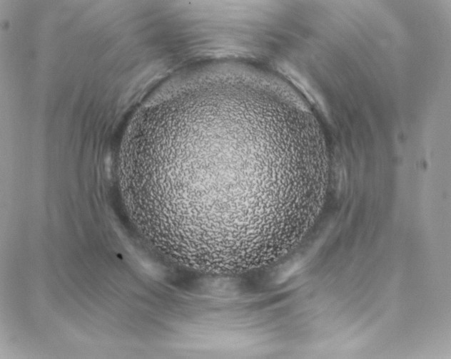 X0000088840117200706071430