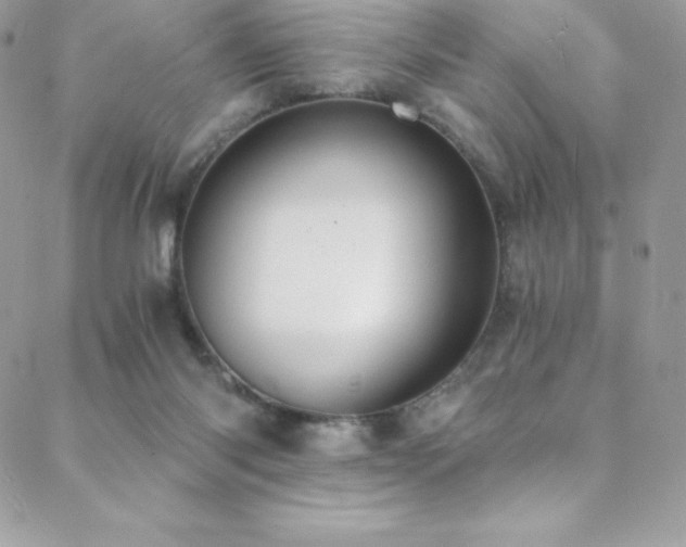 X0000088840118200706071430