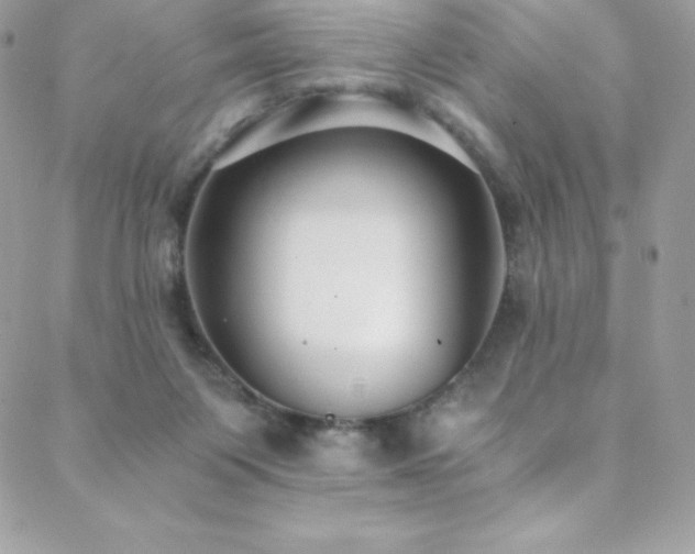 X0000088840119200706071430