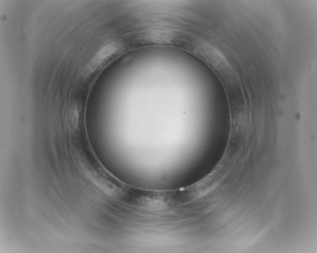 X0000088840120200706071430