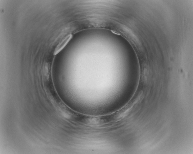 X0000088840121200706071430