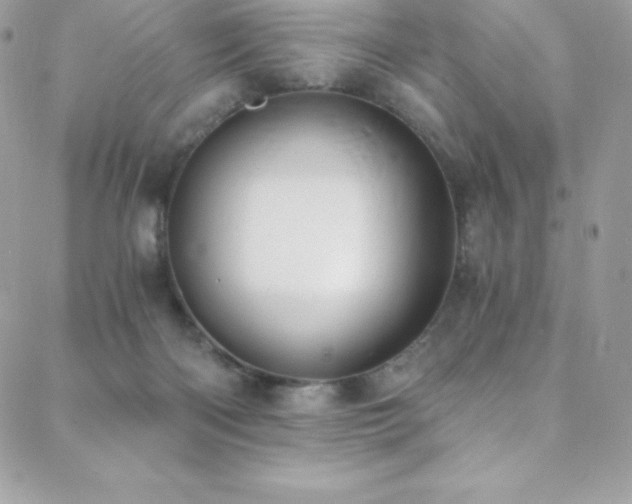 X0000088840122200706071430