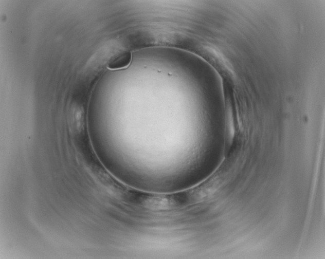 X0000088840123200706071429