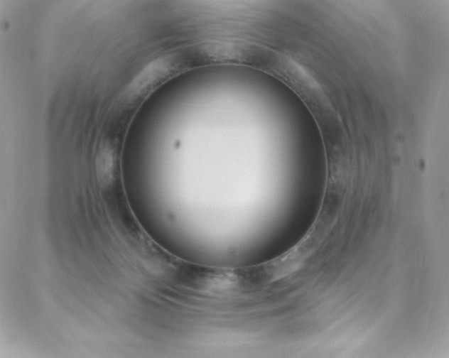 X0000088840124200706071429